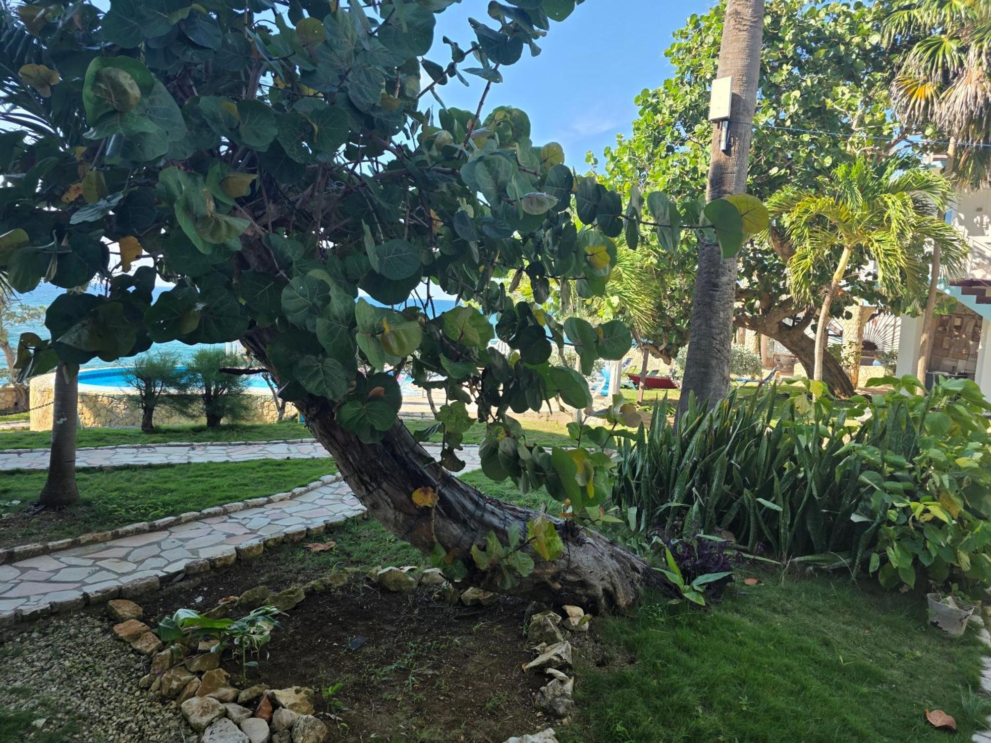 Home Sweet Home Resort Negril Zewnętrze zdjęcie